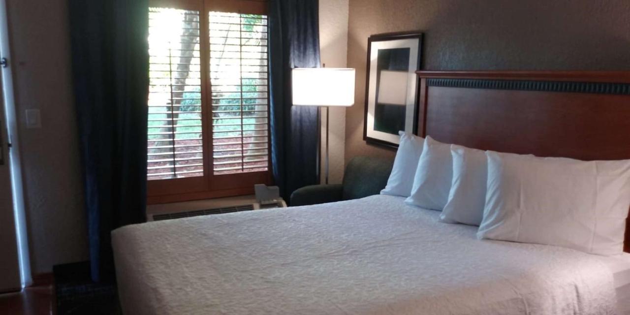 Surestay Plus Hotel By Best Western Clearwater Central Extérieur photo