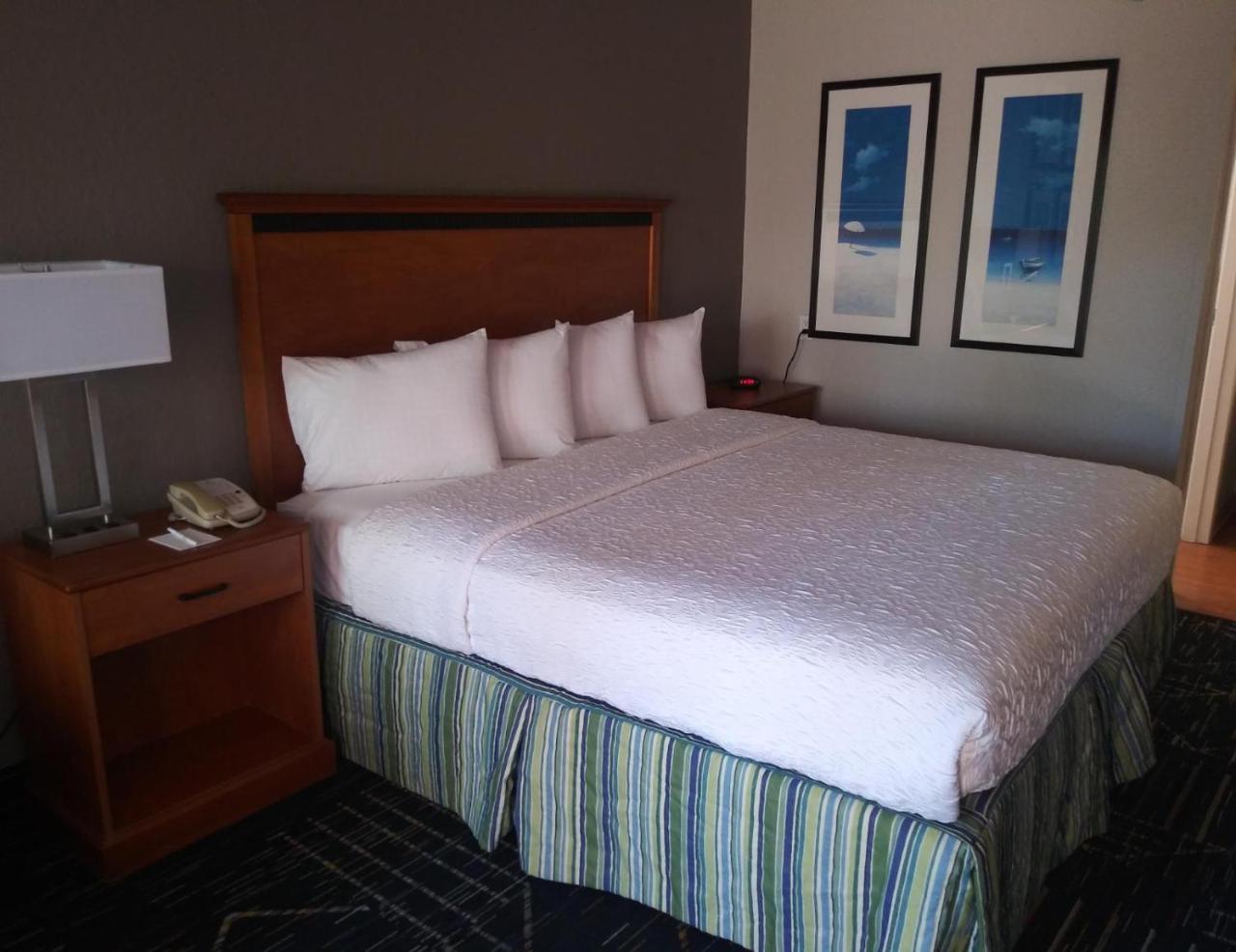 Surestay Plus Hotel By Best Western Clearwater Central Extérieur photo